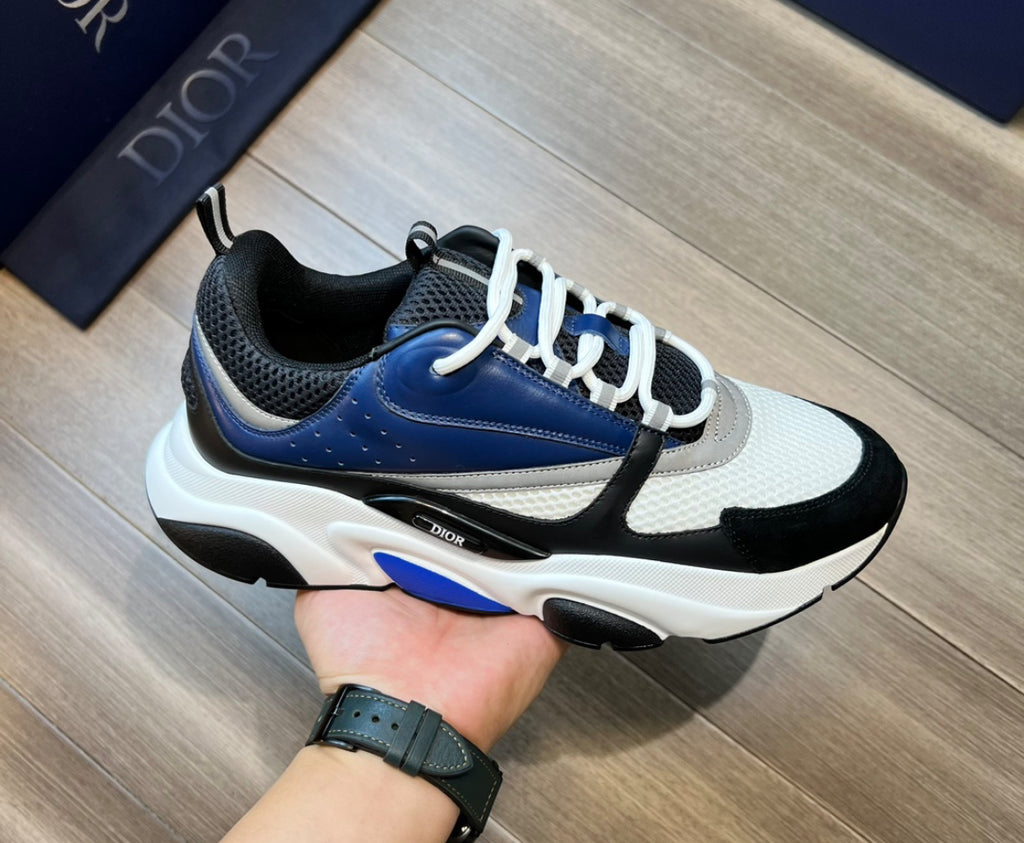Dior b22 skor