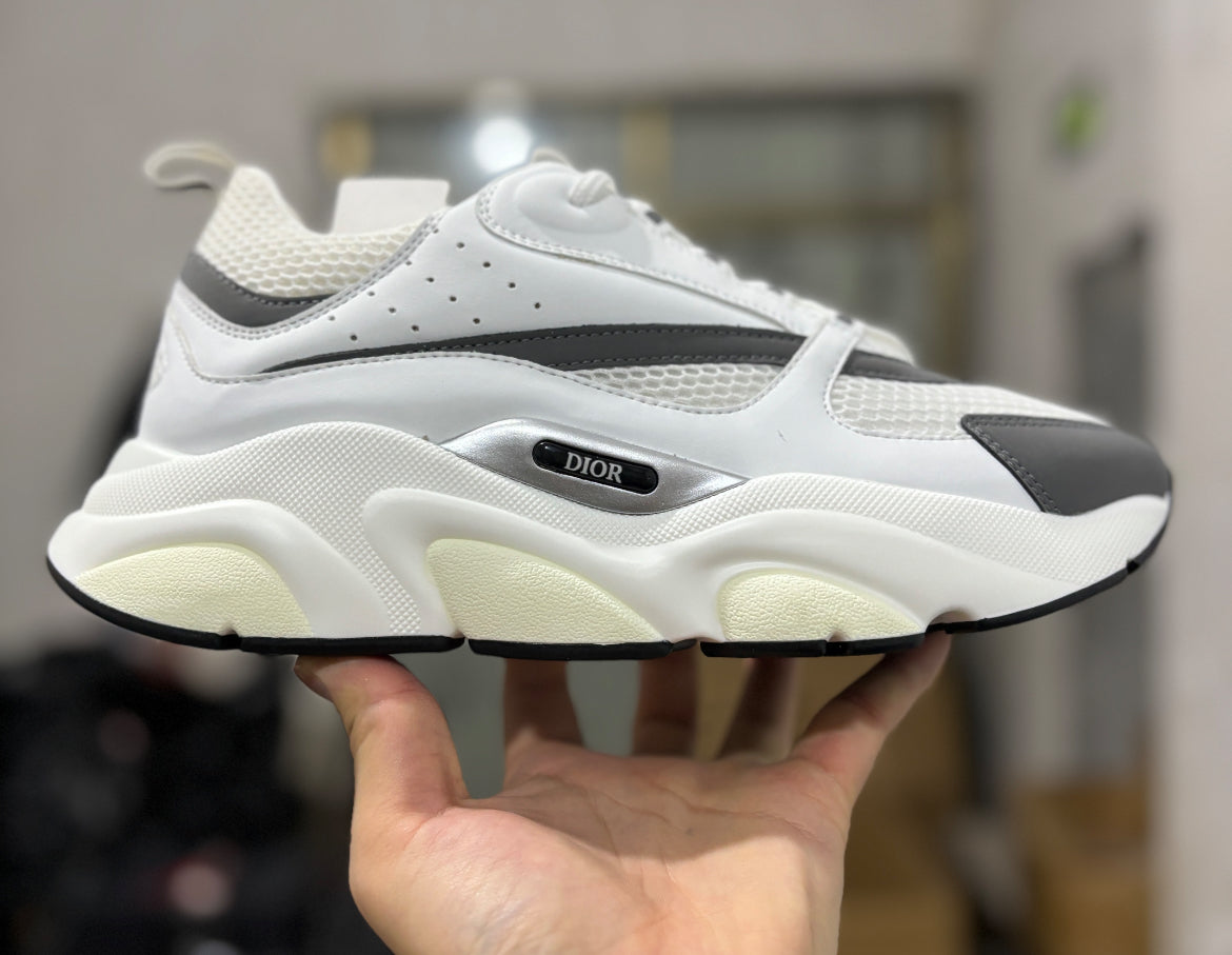 Dior b22 skor