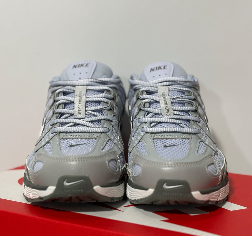 Nike p6000 skor