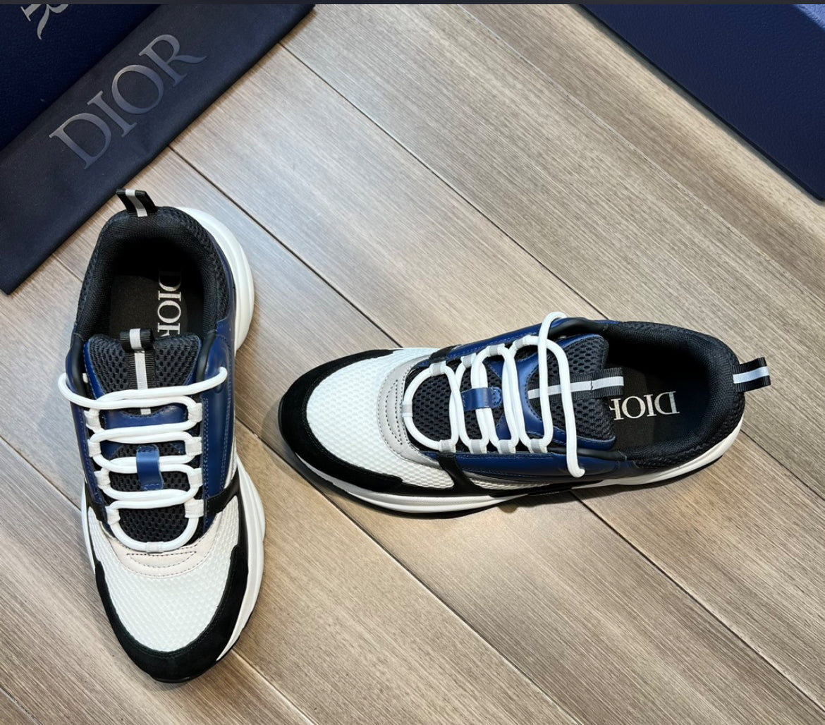 Dior b22 skor
