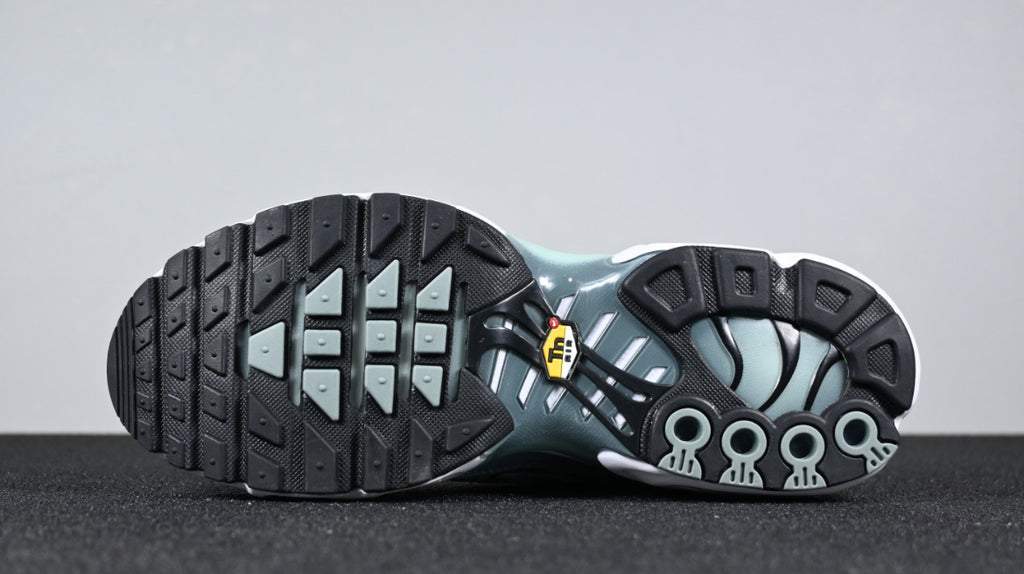 Nike tn skor