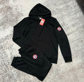 Canada goose set