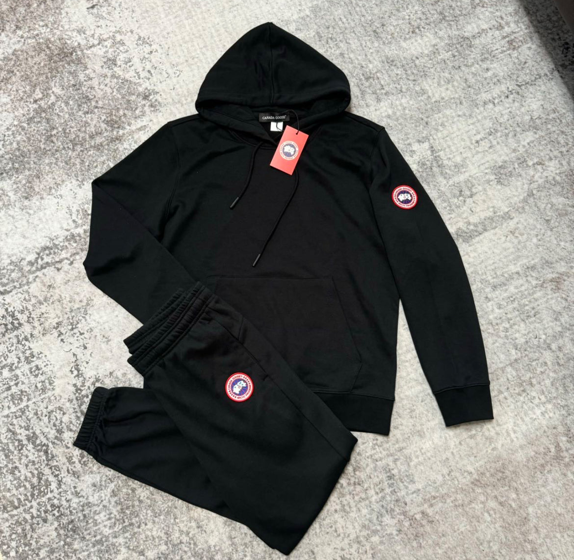 Canada goose set
