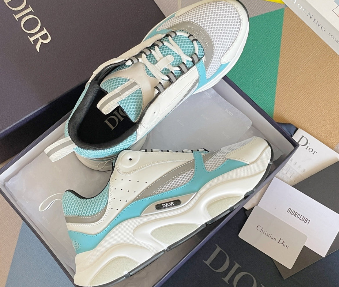 Dior b22 skor