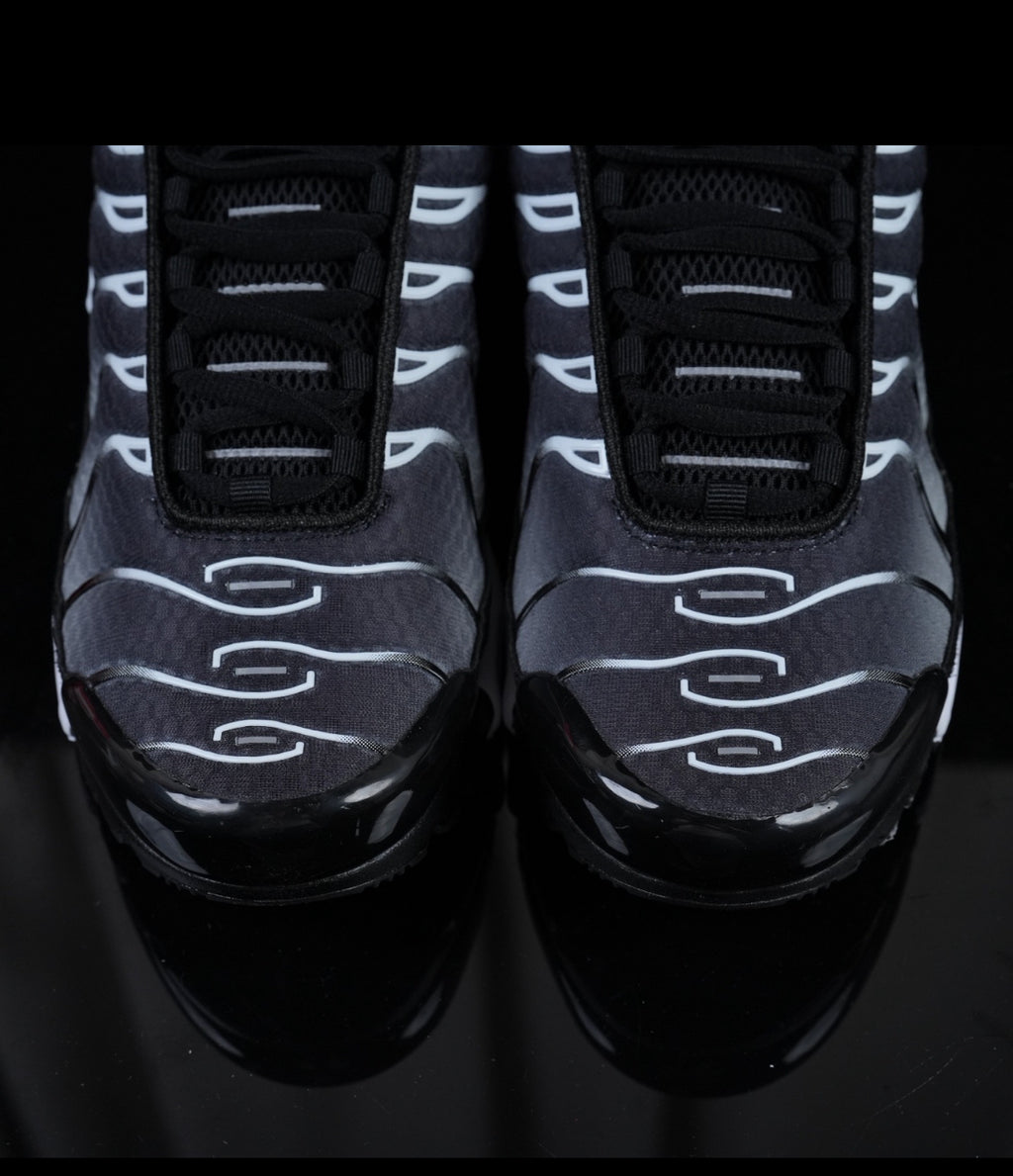 Tn skor