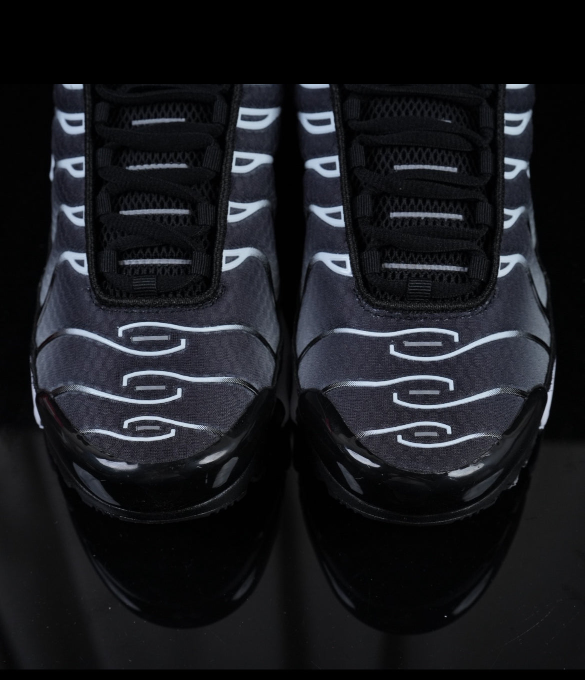 Tn skor