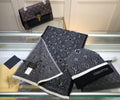 Louis Vuitton mössa och halsduk