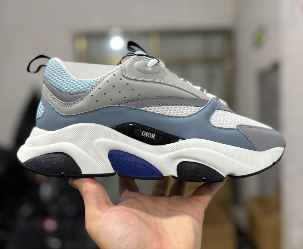 Dior b22 skor