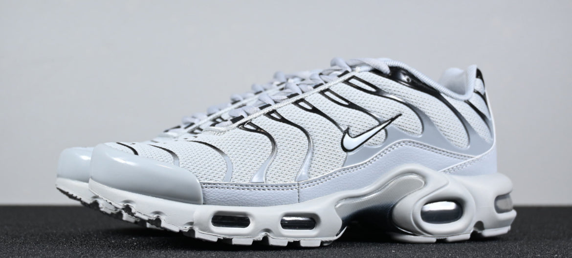 Nike tn skor