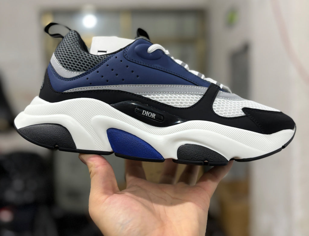 Dior b22 skor