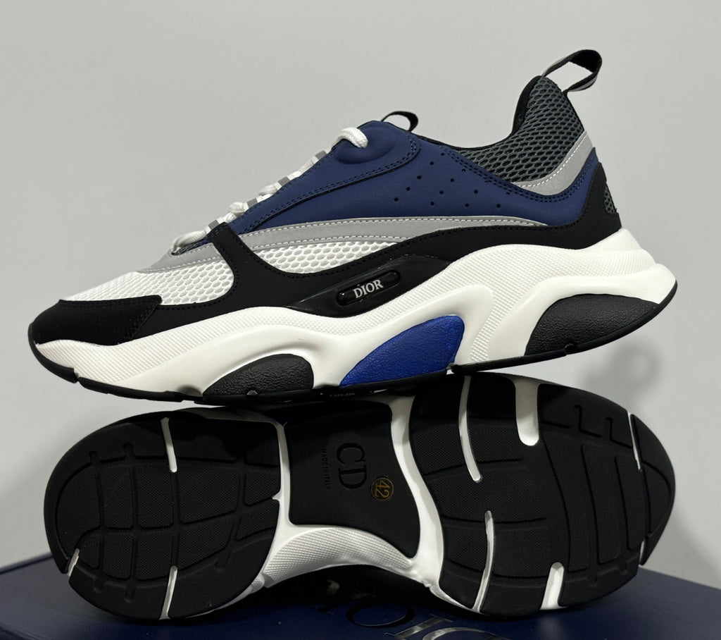 Dior b22 skor