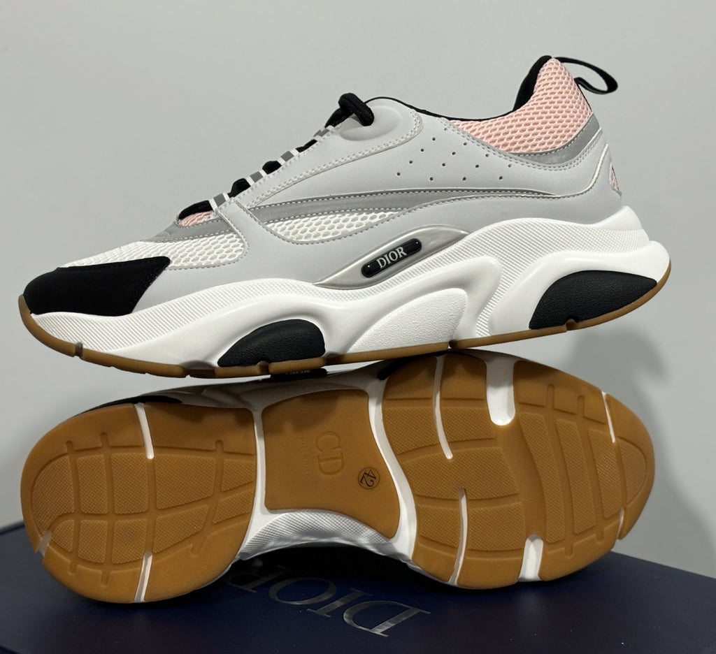 Dior B22 skor