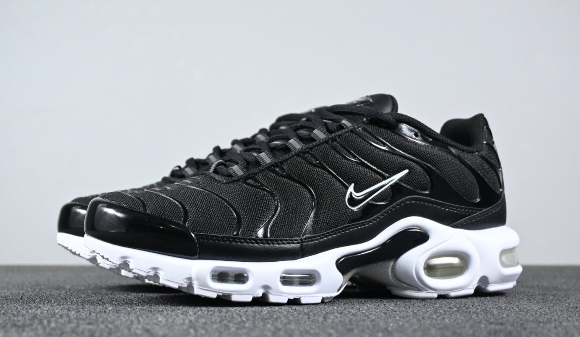 Nike tn skor