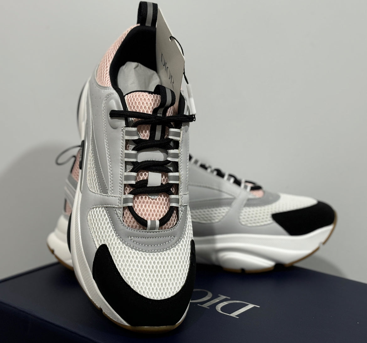 Dior B22 skor