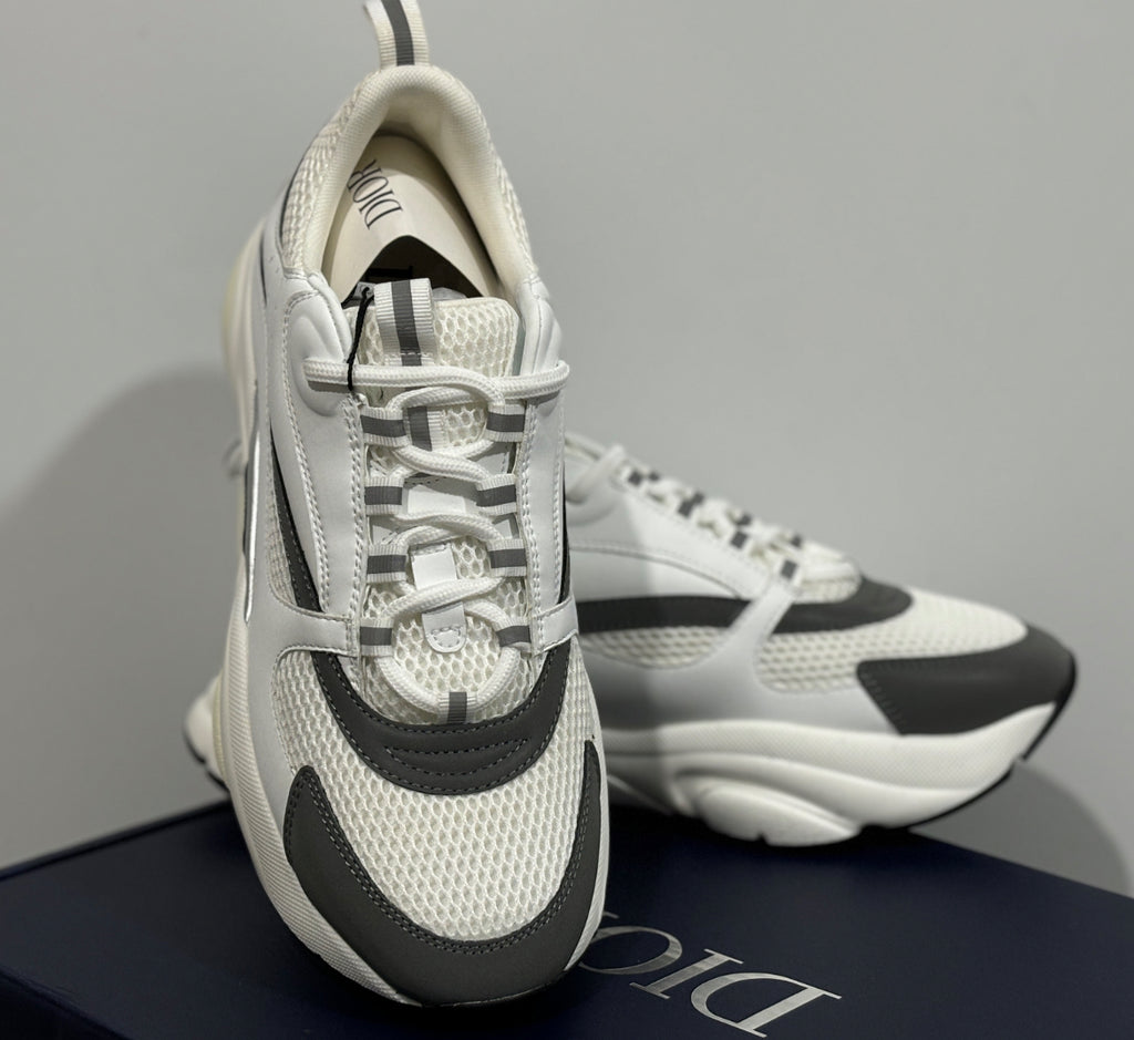Dior b22 skor