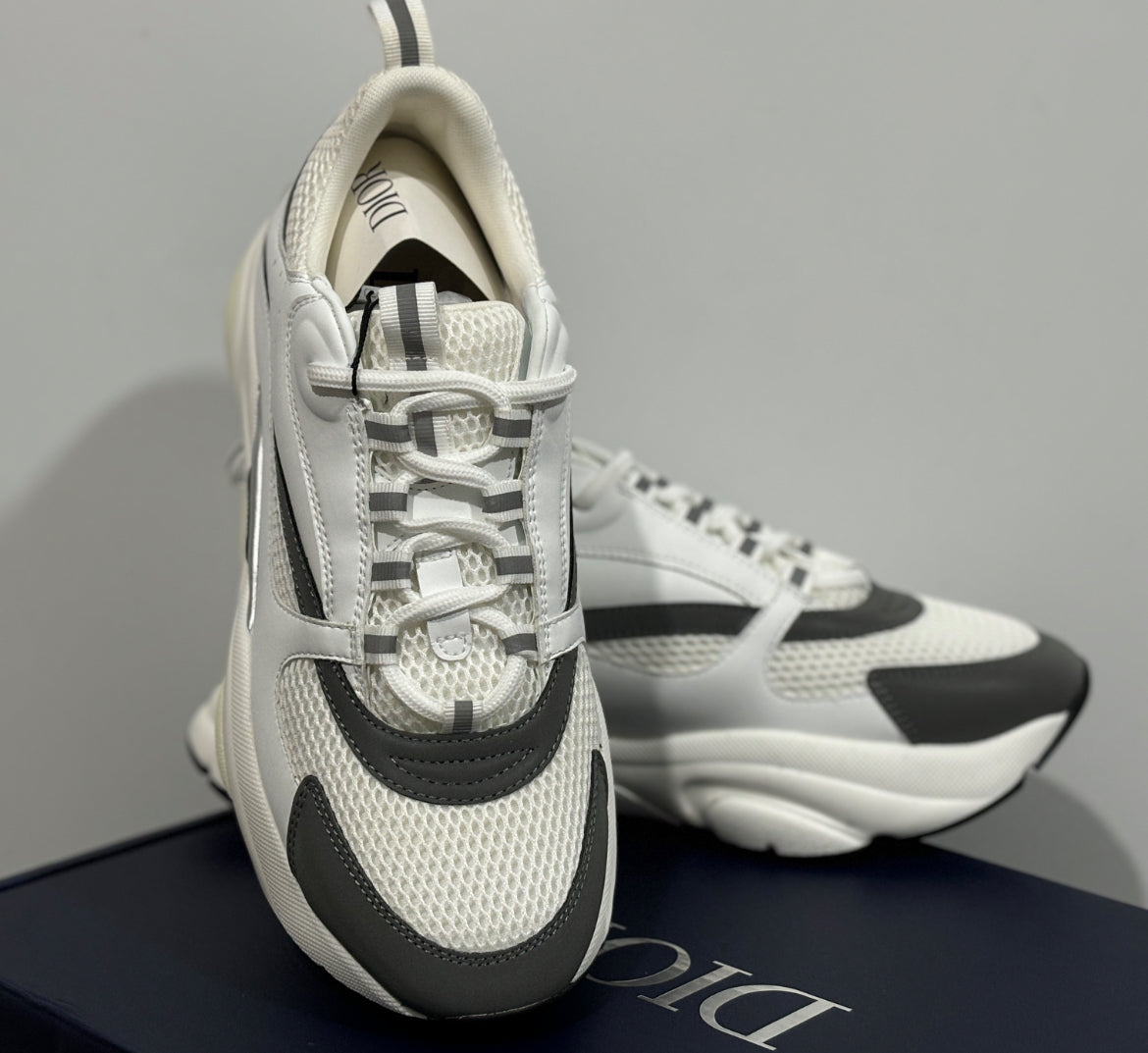 Dior b22 skor