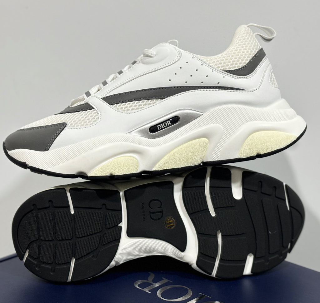 Dior b22 skor