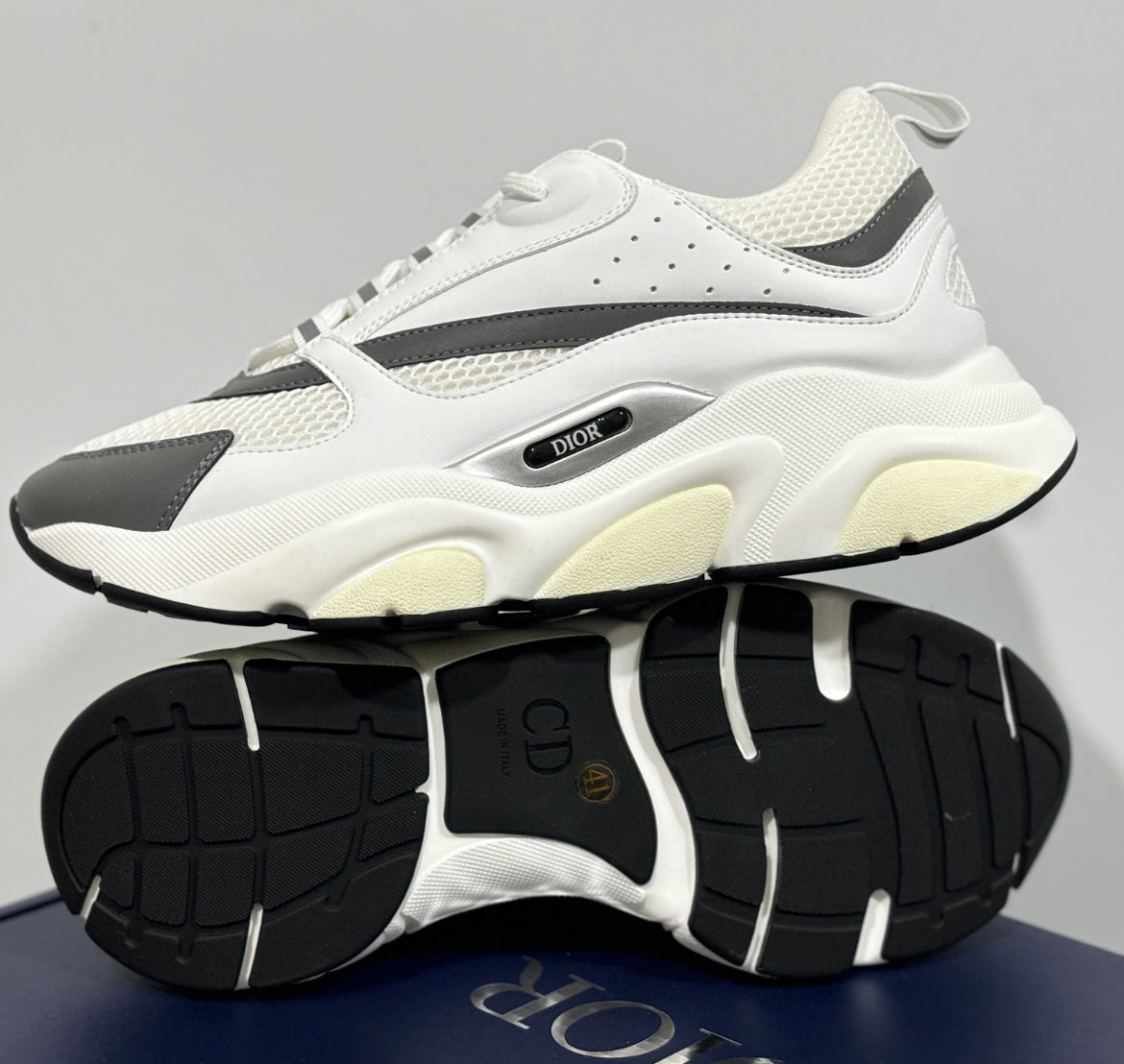 Dior b22 skor