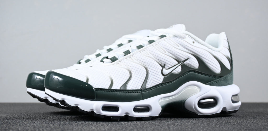 Nike tn skor