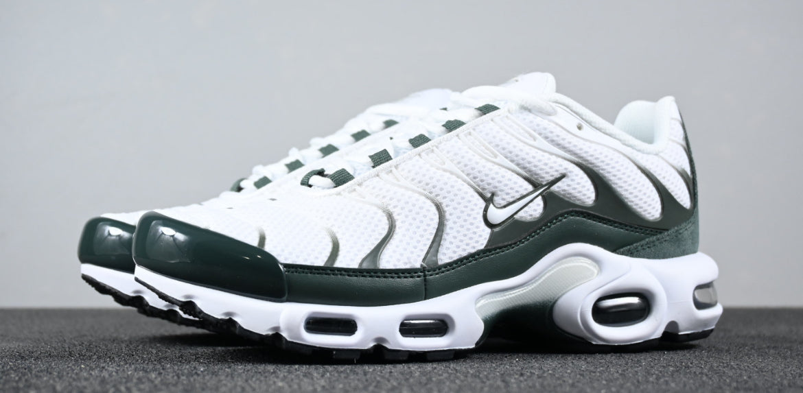 Nike tn skor