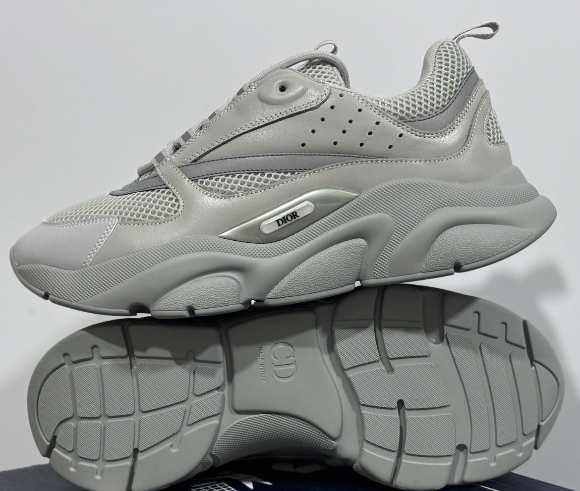 Dior b22 skor