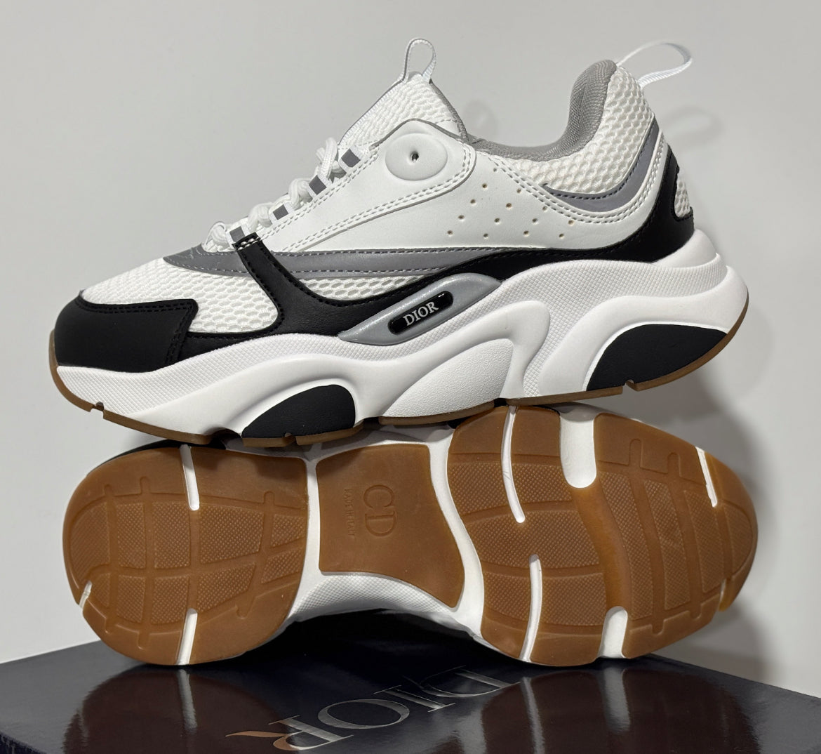 Dior b22 skor