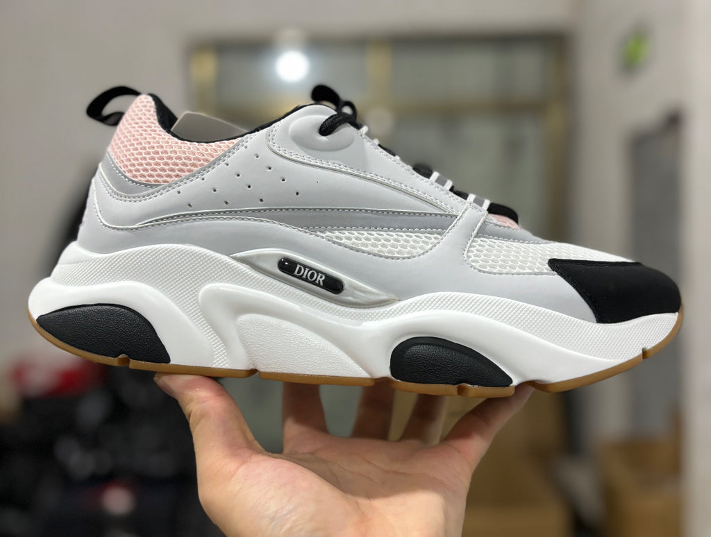 Dior B22 skor