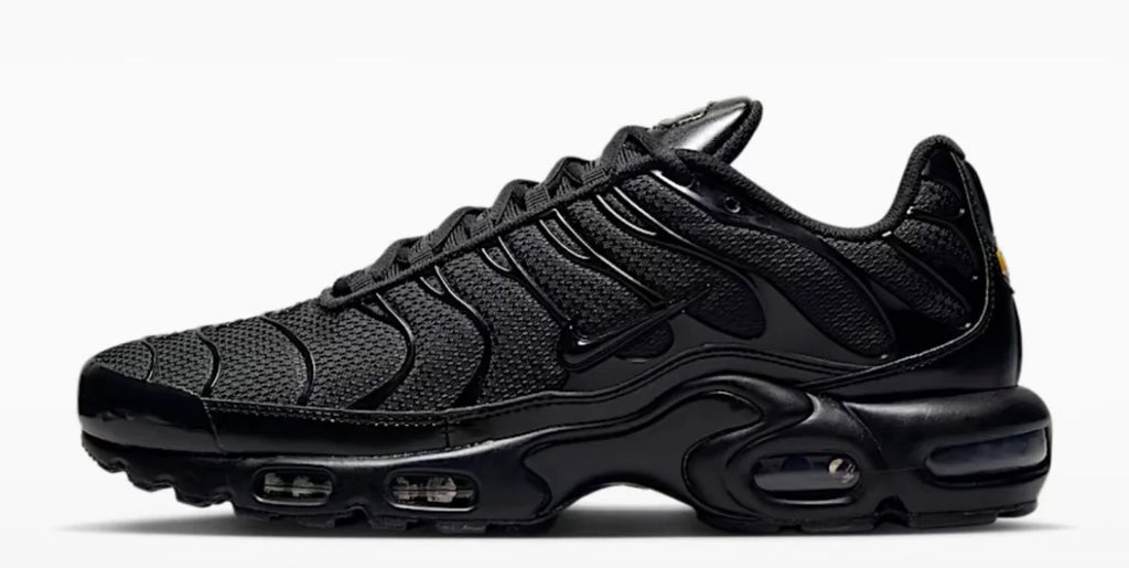 Nike skor TN